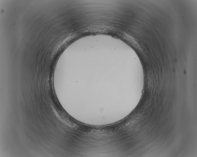 X0000062650538200601181812