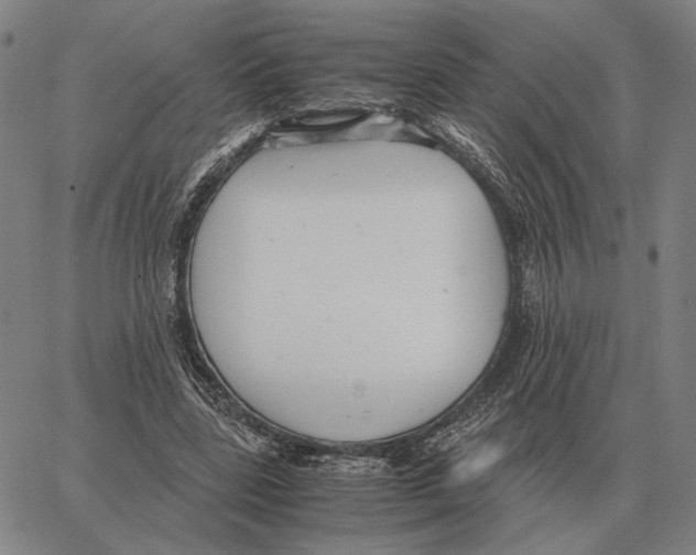 X0000062650539200601181812