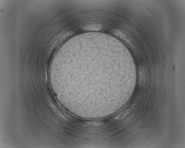 X0000062650541200601181812