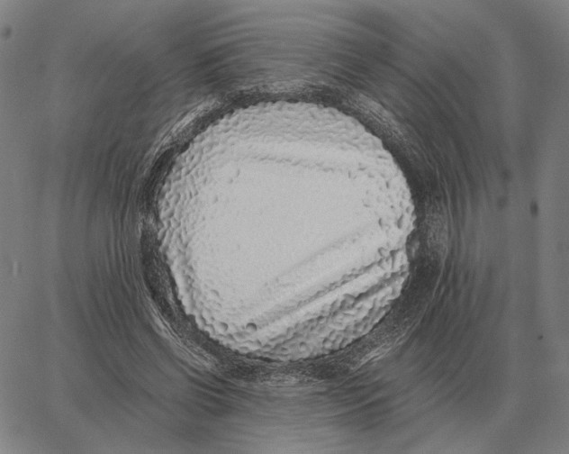 X0000062650542200601181812