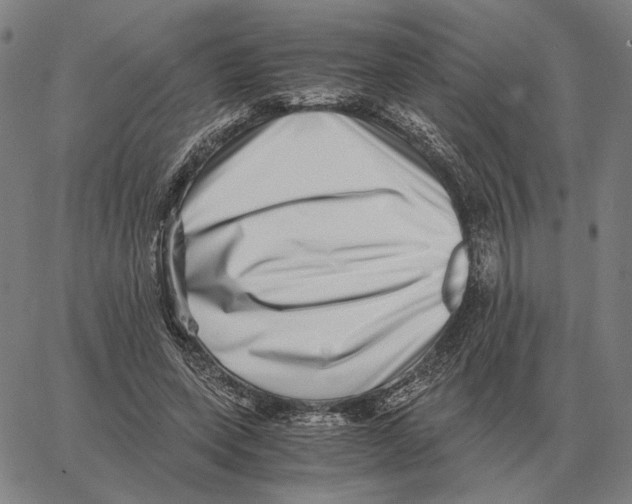 X0000062650543200601181812