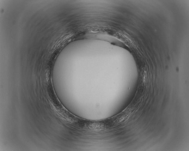 X0000062650546200601181812