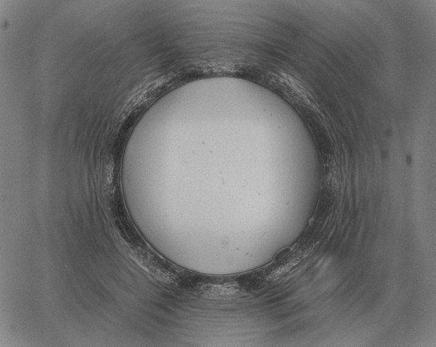 X0000062650548200601181812