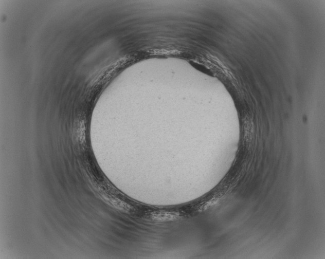 X0000062650549200601181812