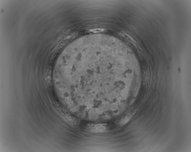 X0000062650553200601181812