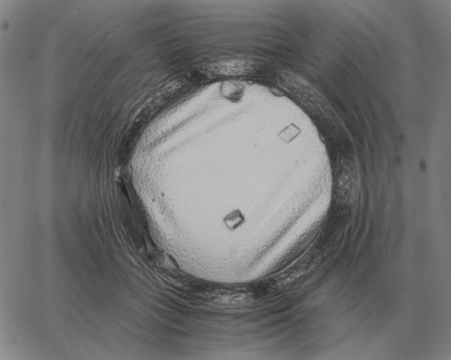 X0000062650555200601181812