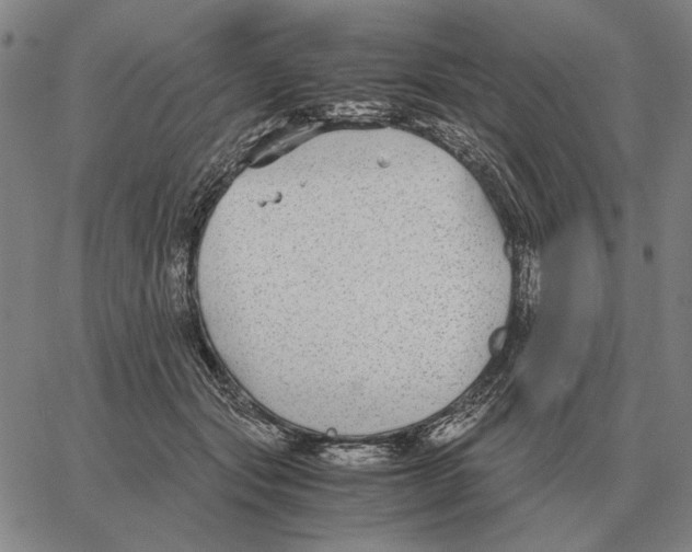 X0000062650557200601181812