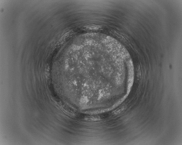 X0000062650559200601181812