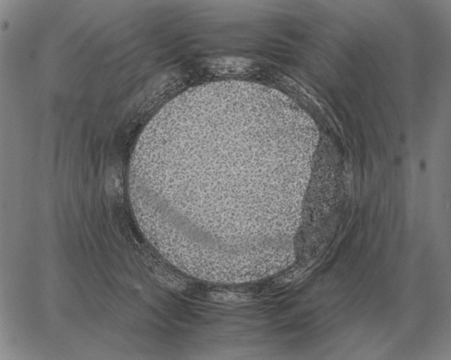 X0000062650561200601181812