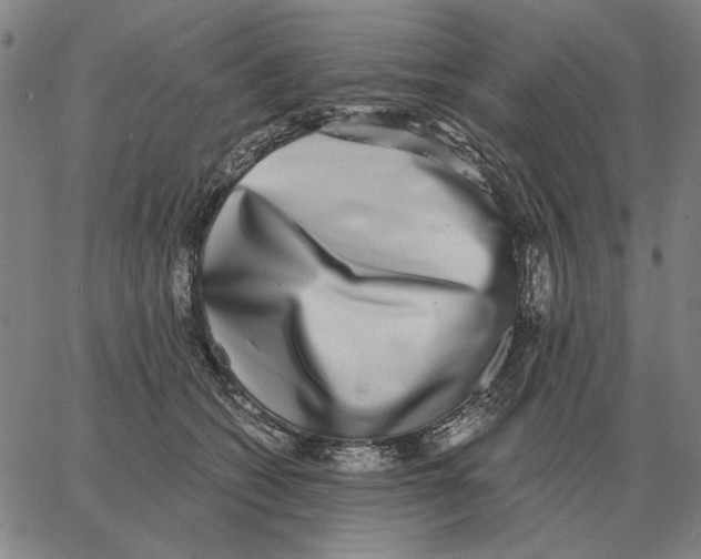 X0000062650562200601181812