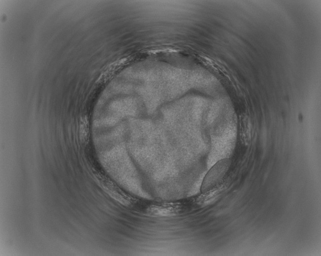 X0000062650563200601181813