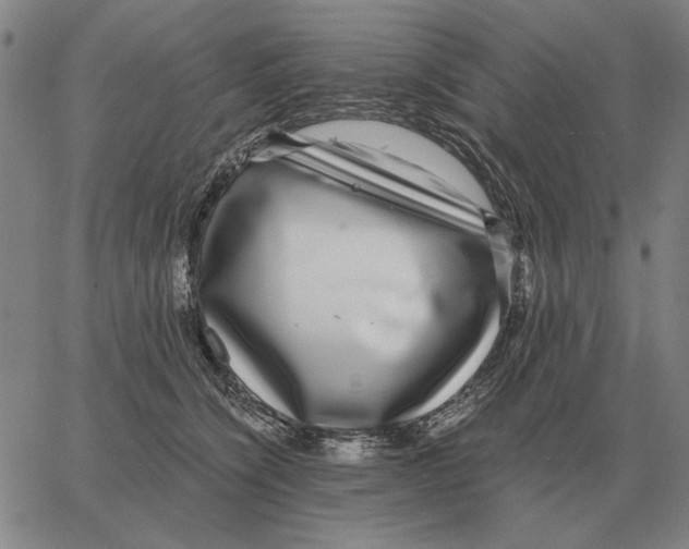 X0000062650564200601181813