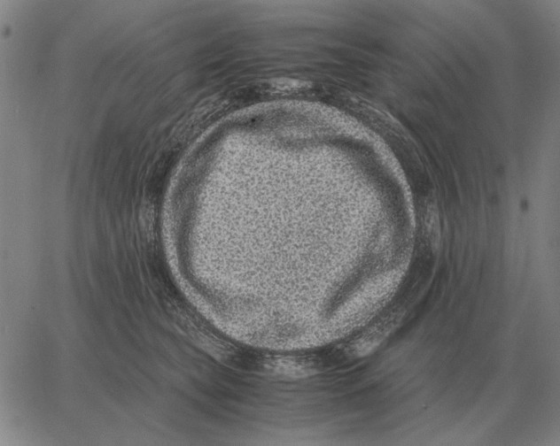 X0000062650565200601181813