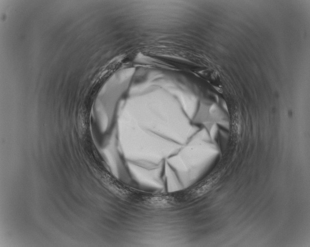 X0000062650566200601181813