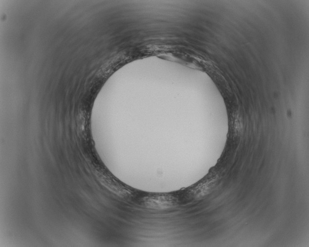 X0000062650567200601181813