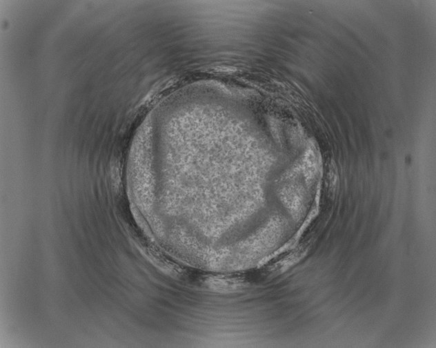 X0000062650568200601181813