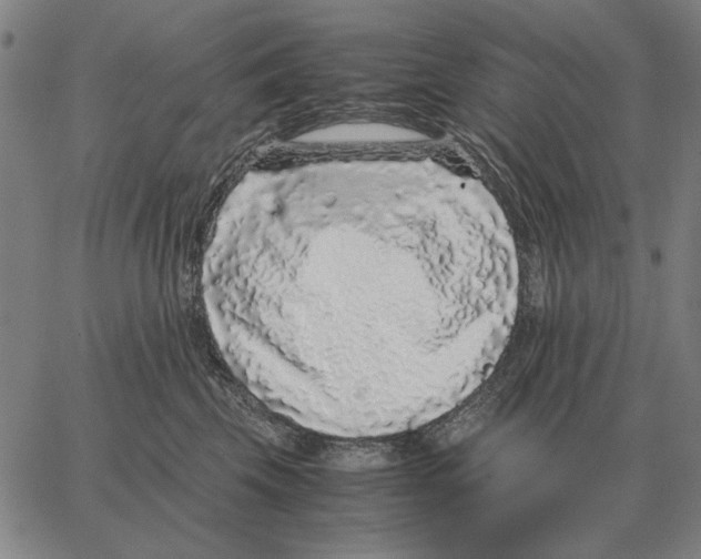 X0000062650569200601181813