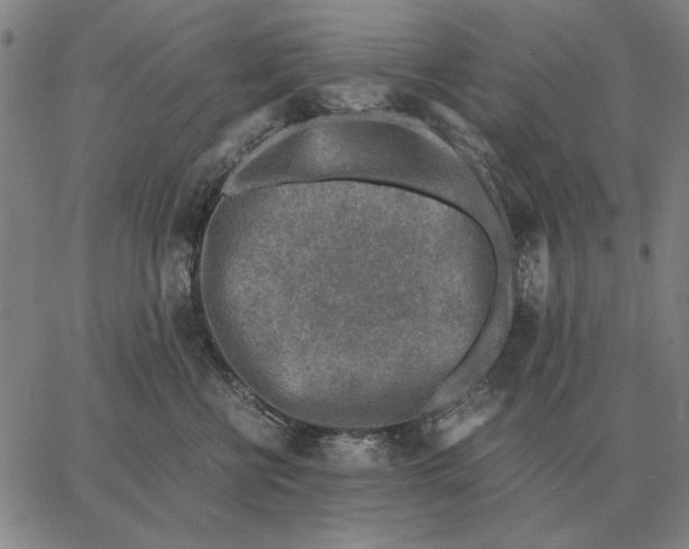 X0000062650570200601181813