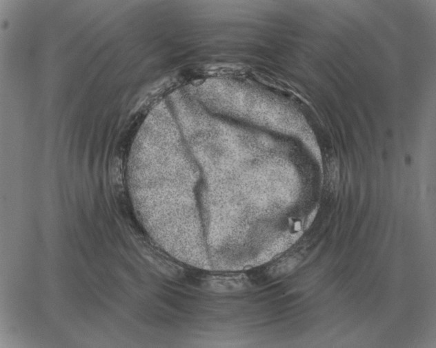 X0000062650571200601181813