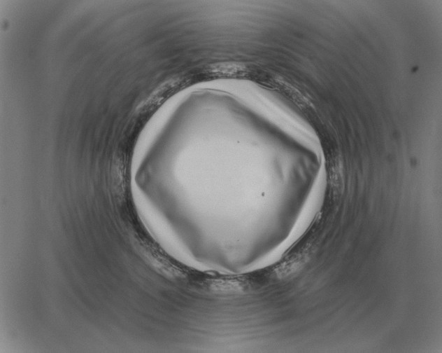 X0000062650572200601181813