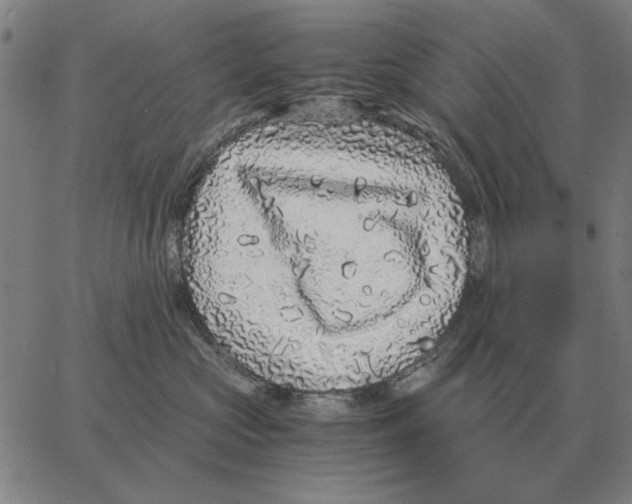 X0000062650573200601181813