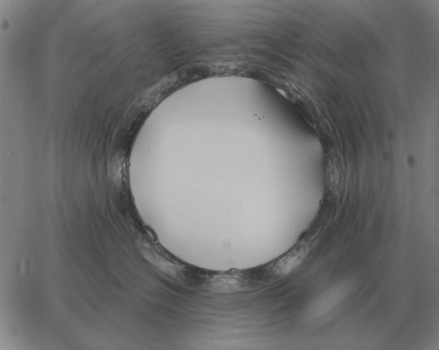 X0000062650574200601181813