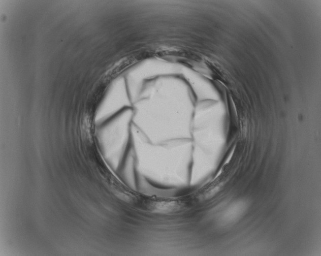 X0000062650575200601181813