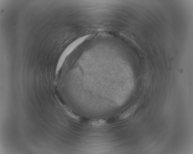 X0000062650576200601181813