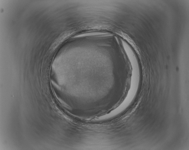 X0000062650577200601181812