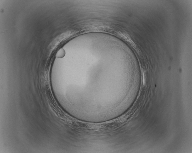 X0000062650579200601181812