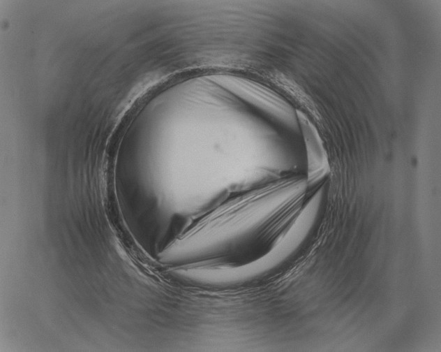 X0000062650580200601181812