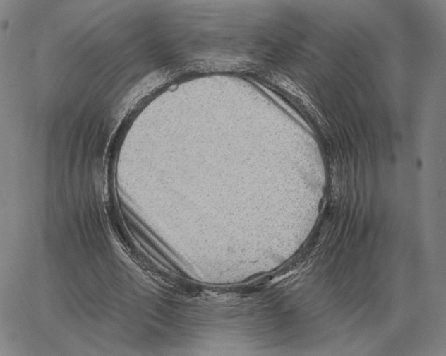 X0000062650582200601181812