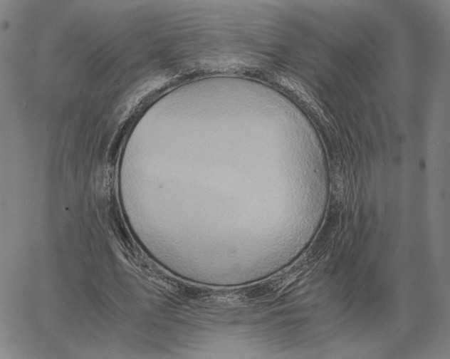 X0000062650583200601181812