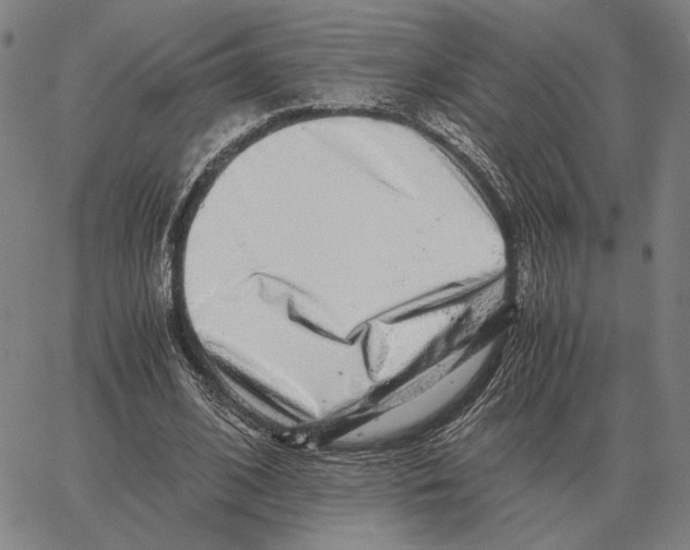 X0000062650584200601181812