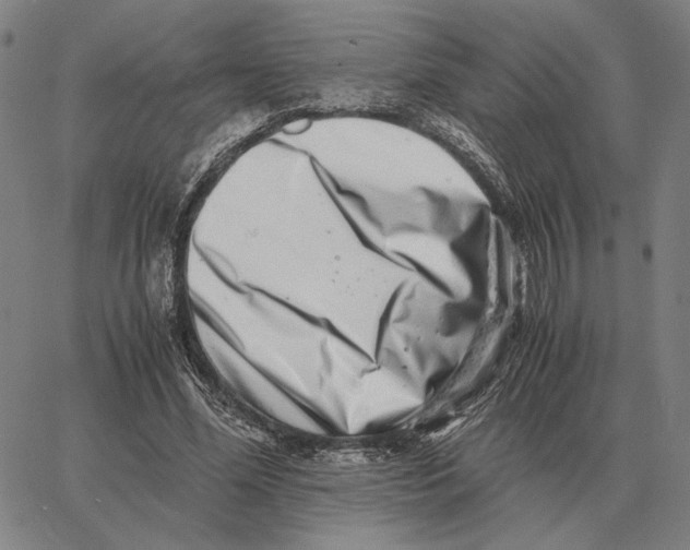 X0000062650588200601181812