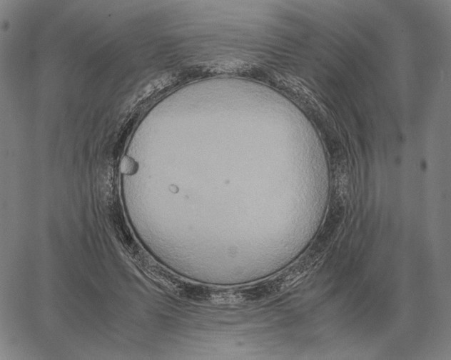 X0000062650591200601181812