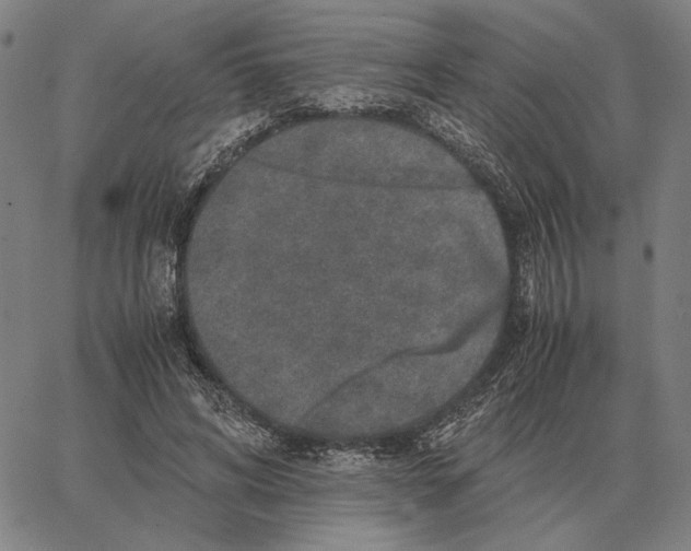 X0000062650592200601181812