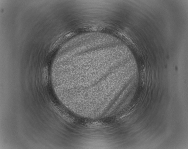 X0000062650594200601181812