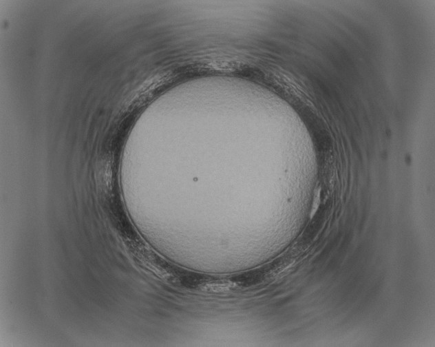 X0000062650595200601181812