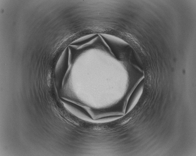 X0000062650596200601181812