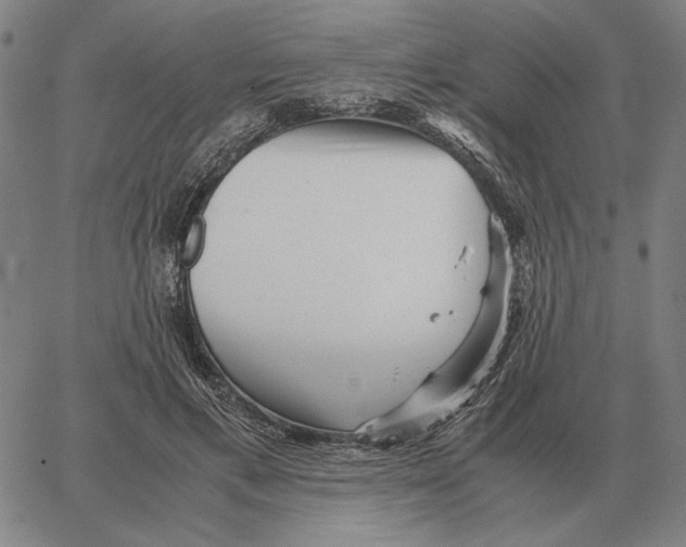 X0000062650597200601181812