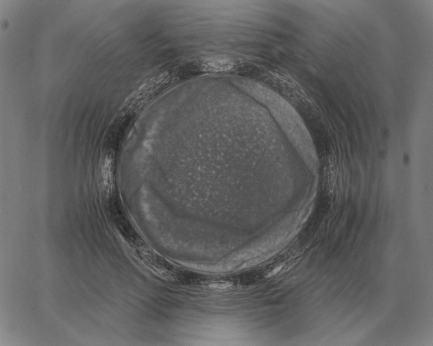 X0000062650598200601181812