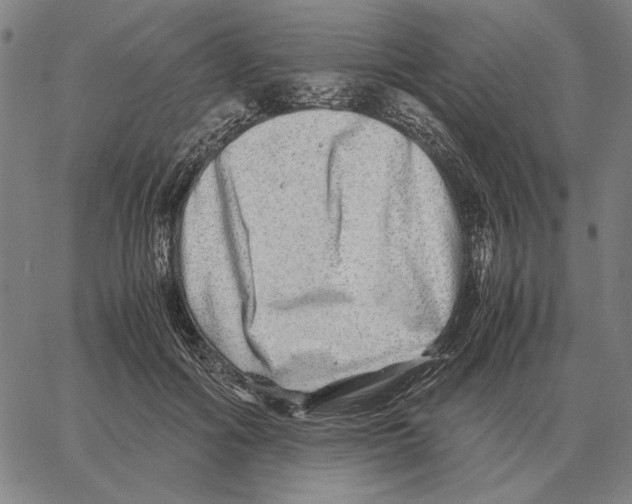 X0000062650602200601181812