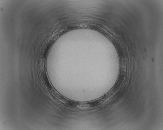 X0000062650603200601181812