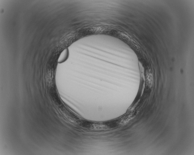 X0000062650605200601181811