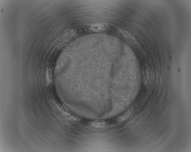 X0000062650606200601181811