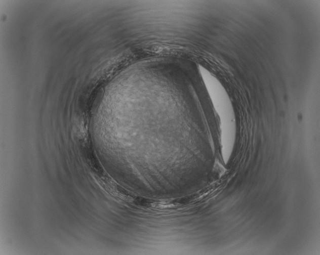 X0000062650607200601181811