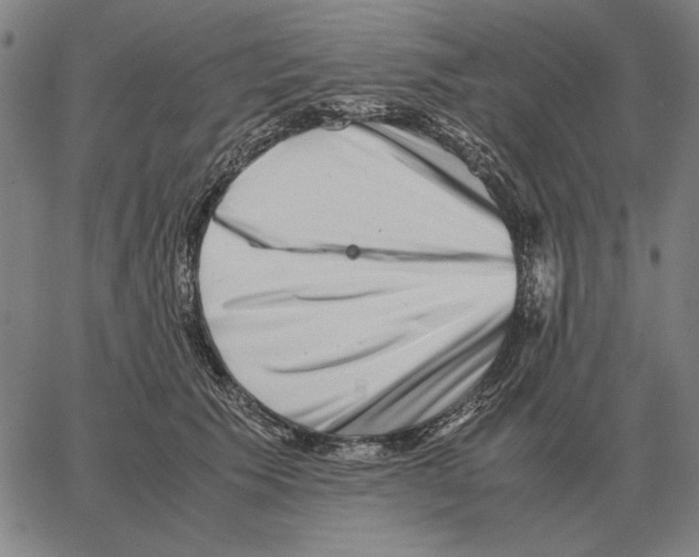 X0000062650609200601181811