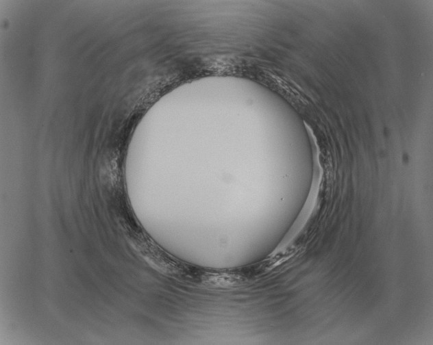 X0000062650611200601181811