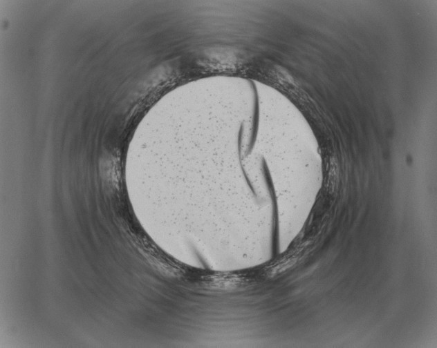 X0000062650612200601181811